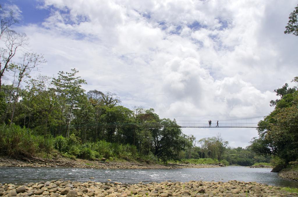 Selva Verde Lodge Sarapiquí Esterno foto
