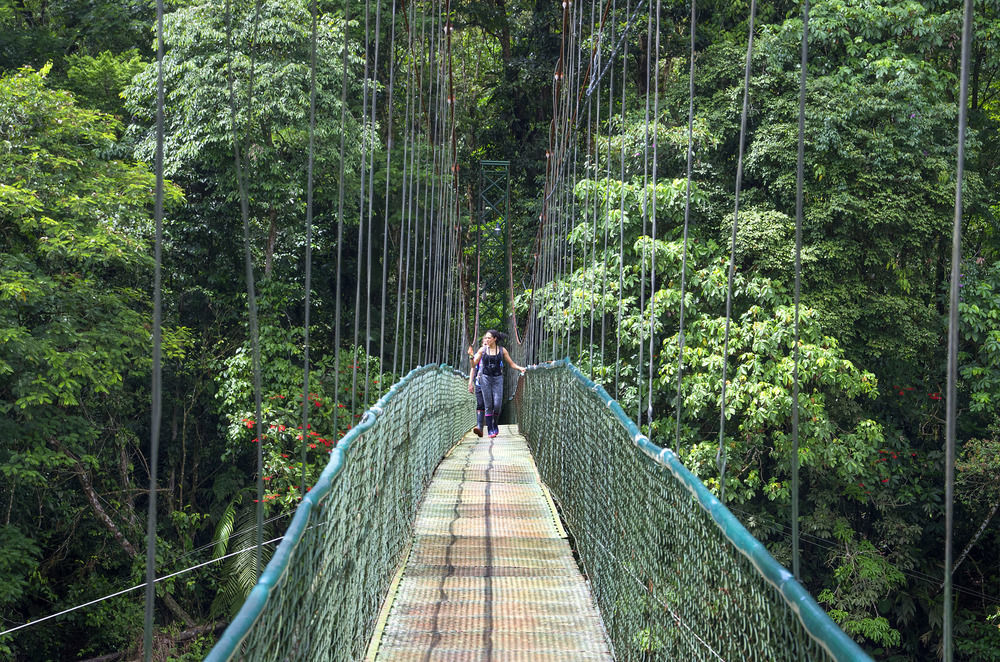 Selva Verde Lodge Sarapiquí Esterno foto