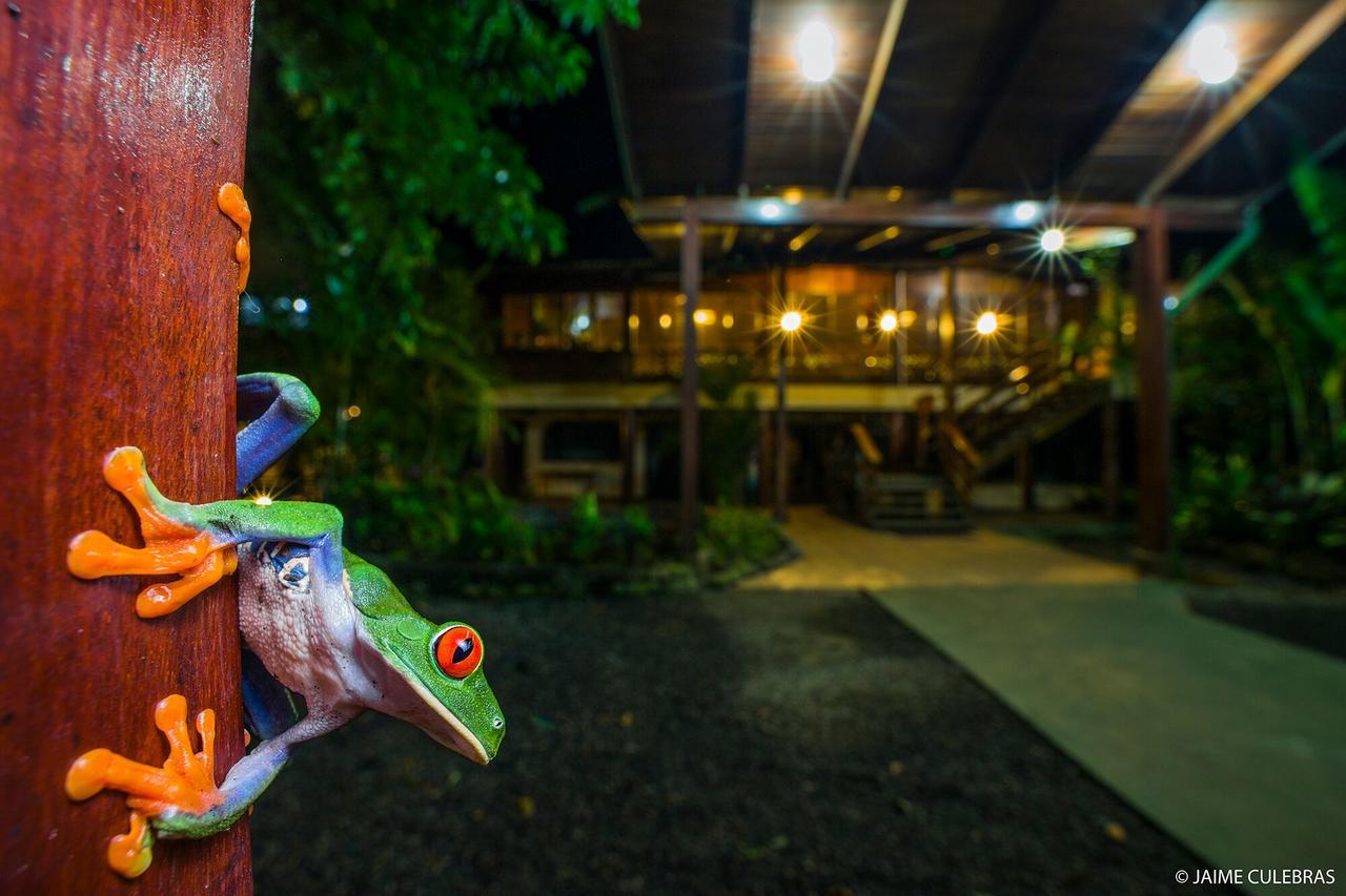 Selva Verde Lodge Sarapiquí Esterno foto